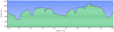 Wetmore Langes Loop profile